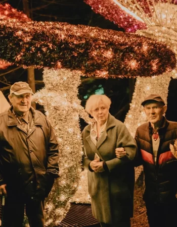 Lumina Park Poznań– Tajemnicze Ogrody