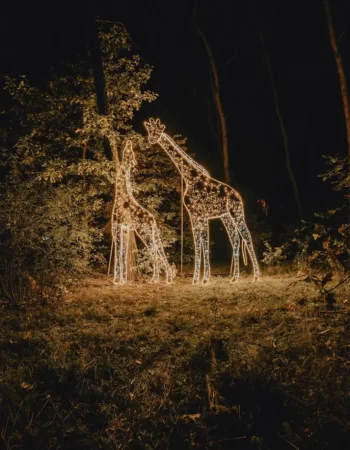 Lumina Park Poznań– Tajemnicze Ogrody