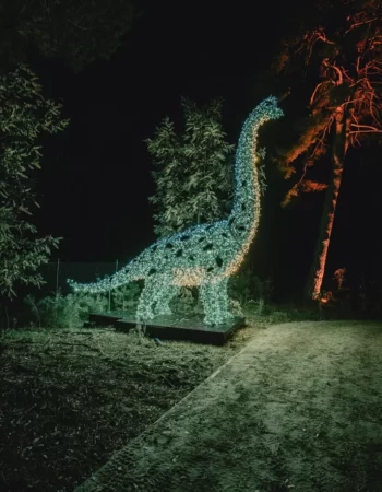 Lumina Park Poznań– Tajemnicze Ogrody