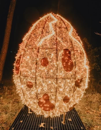 Lumina Park Poznań– Tajemnicze Ogrody