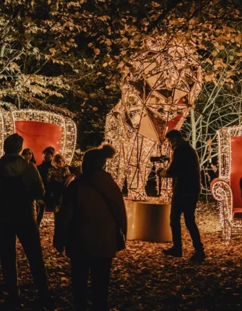 Lumina Park Poznań– Tajemnicze Ogrody