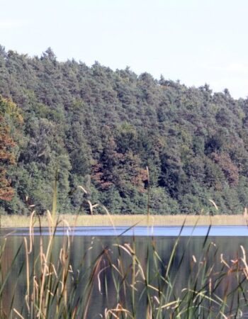 Rezerwat przyrody Jezioro Łubówko