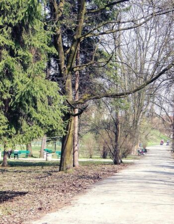 Park Bednarskiego w Krakowie