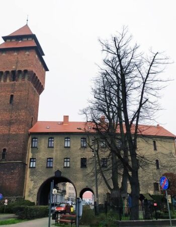 Muzeum im. Jana Dzierżona w Kluczborku