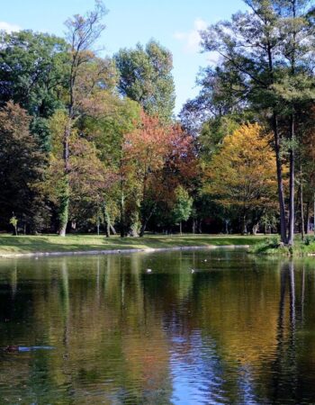 Park miejski w Strzelcach Opolskich