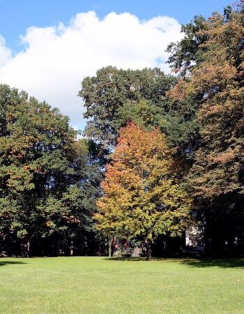 Park miejski w Strzelcach Opolskich