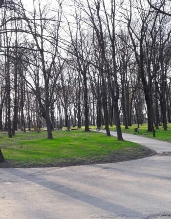 Park Saski w Sandomierzu