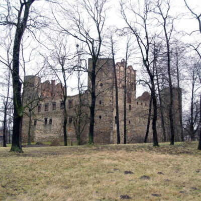 Ruiny zamku w Drzewicy