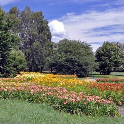 Ogród Botaniczny w Łodzi