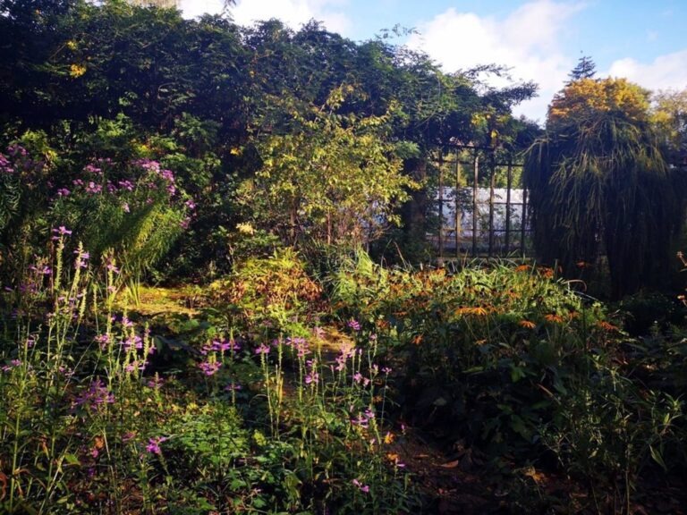 Palmiarnia i ogród botaniczny Parku Oliwskim