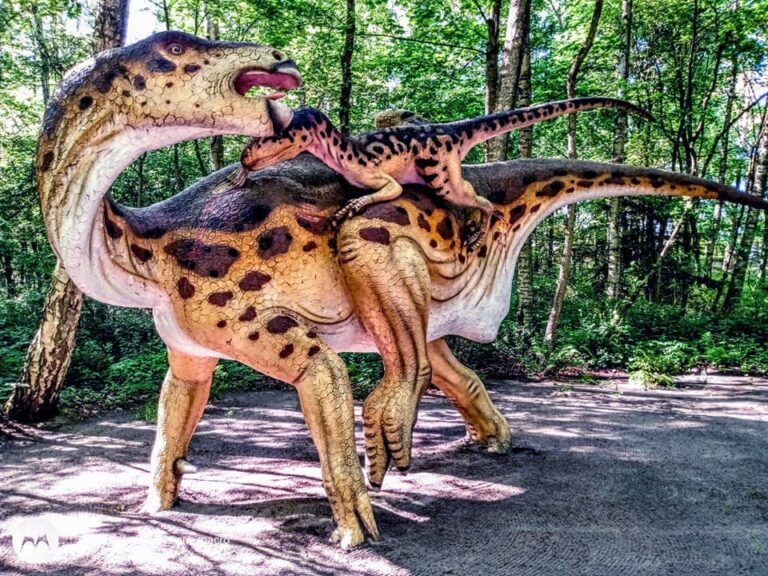 Park Dinozaurów Łeba Park