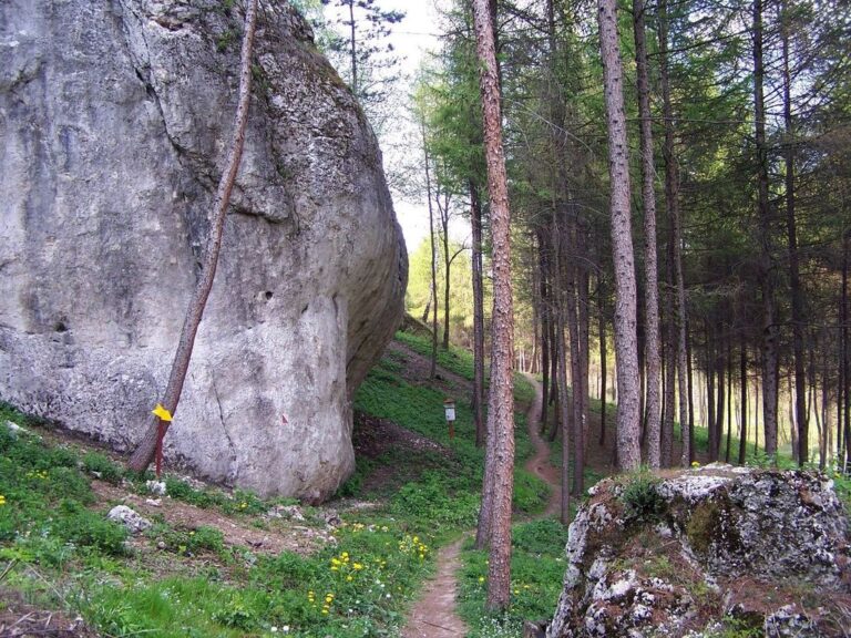 Dolina Brzoskwinki