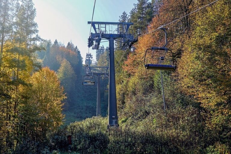 Palenica (722 m n.p.m.)