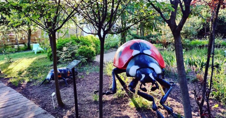 Park Edukacyjno-Rozrywkowy Mikrokosmos