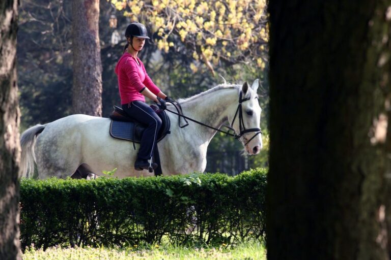 Stadnina Koni Moszna