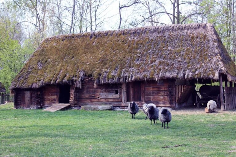 Skansen – Muzeum Wsi Opolskiej