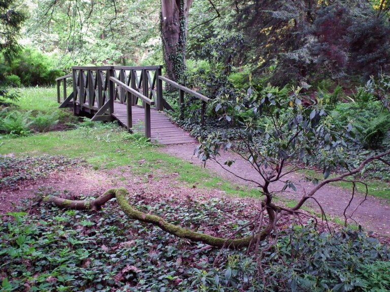 Park Dendrologiczny w Lipnie