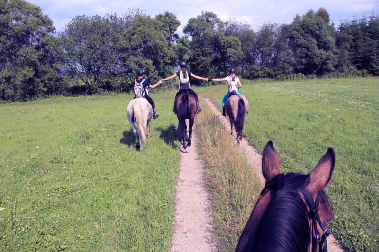 Stadnina Koni Łopuszna