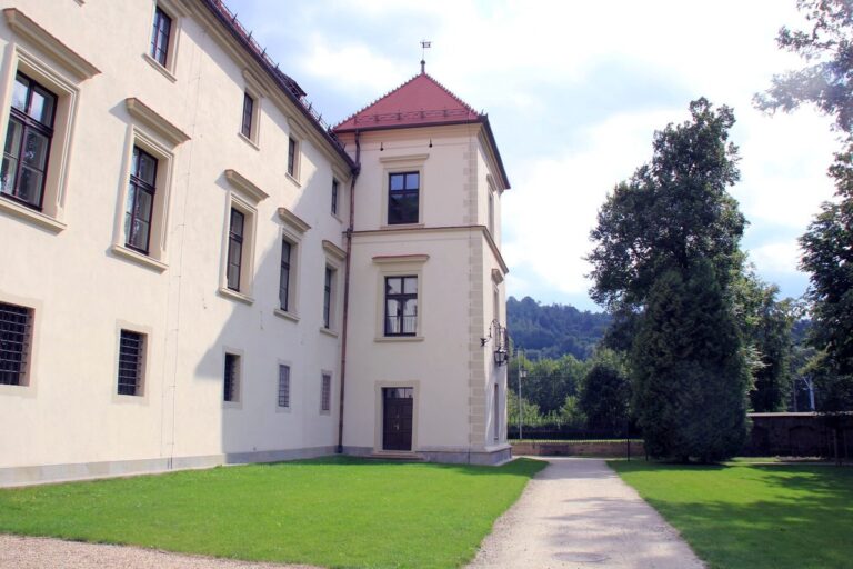 Zamek w Suchej Beskidzkiej