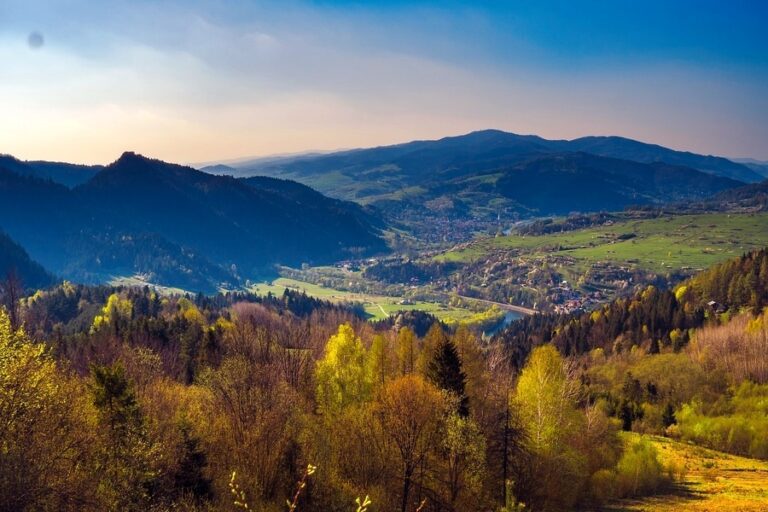 Palenica (722 m n.p.m.)