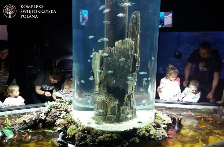 Kompleks Świętokrzyska Polana