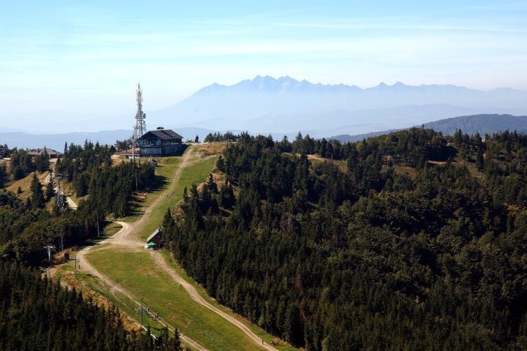 Jaworzyna Krynicka 1114 m n.p.m.