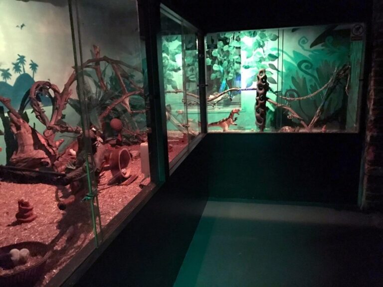 Miasto Myszy w Kołobrzegu