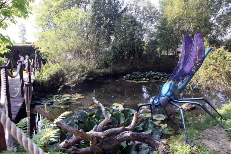 Park Edukacyjno-Rozrywkowy Mikrokosmos