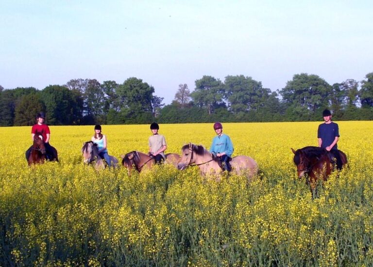 Stadnina Koni Moszna