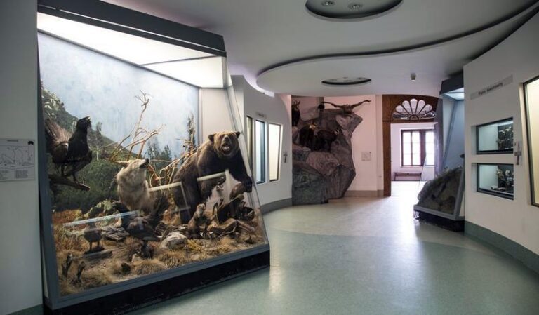 Muzeum Tatrzańskie – Gmach Główny