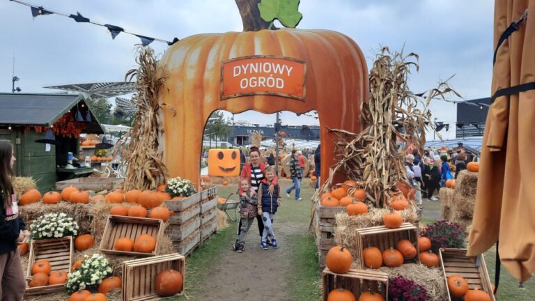 Ogród dyniowy na dachu