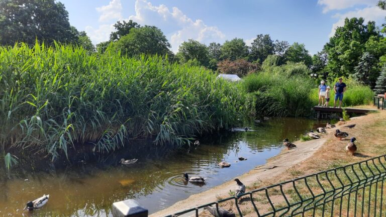 Park Czechowicki