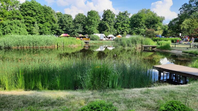 Park Czechowicki