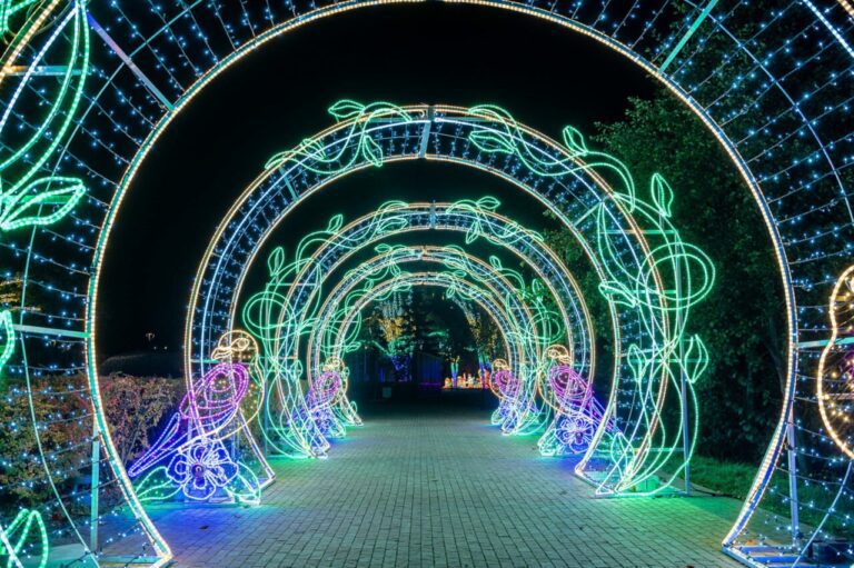 Pinokio – Ogród Świateł Chorzów