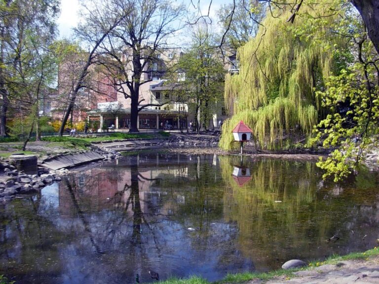 Park im. Kazimierza Wielkiego