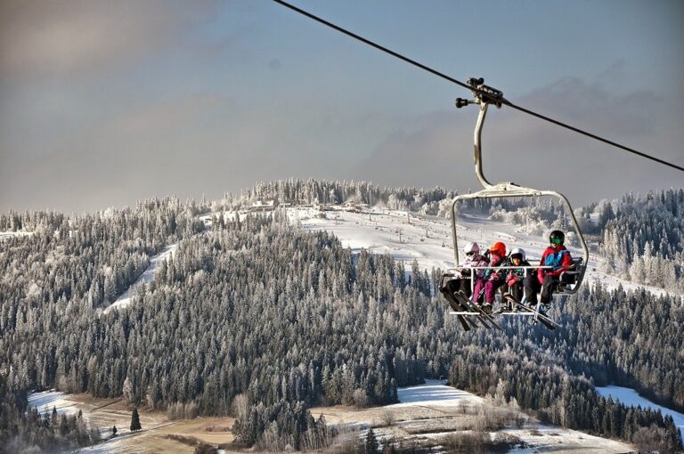 Kompleks narciarski GrapaSki