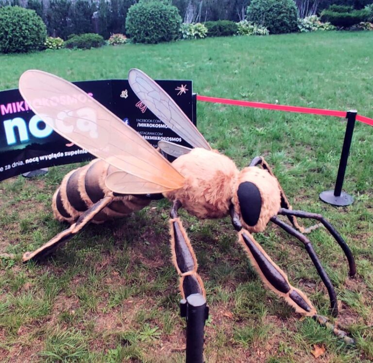 Park Edukacyjno-Rozrywkowy Mikrokosmos