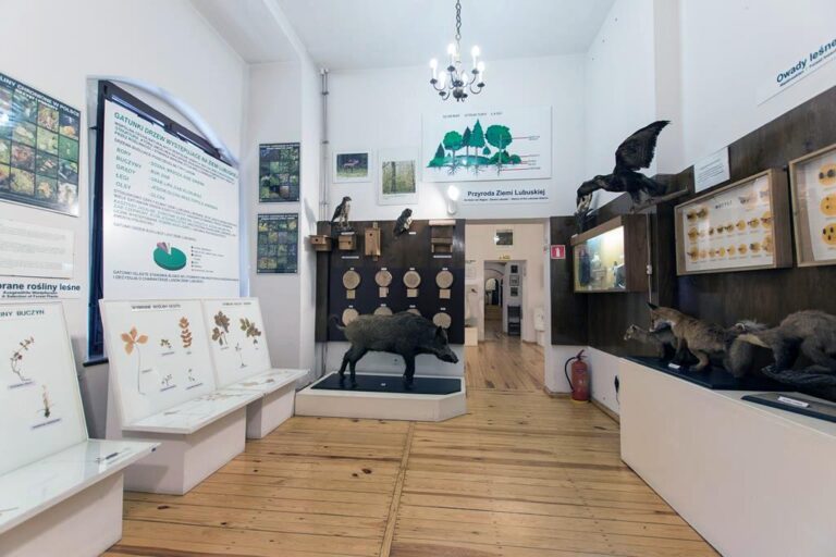 Muzeum Regionalne w Świebodzinie