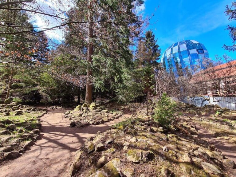 Palmiarnia i ogród botaniczny Parku Oliwskim