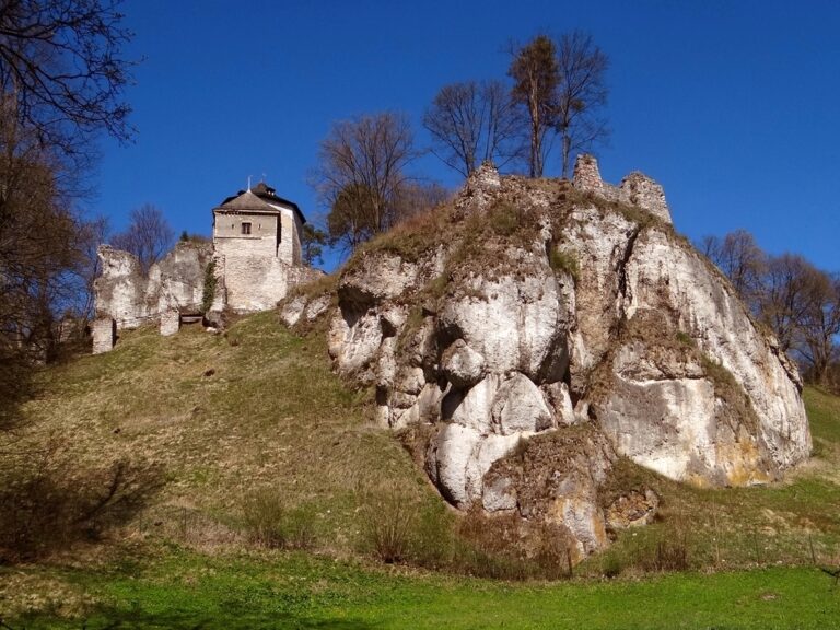 Ruiny Zamku w Ojcowie