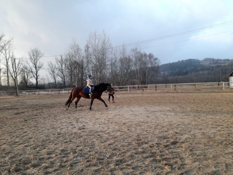 Stadnina Koni Łopuszna