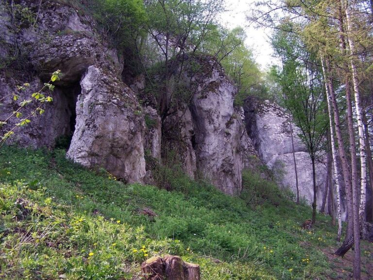 Dolina Brzoskwinki