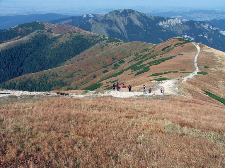 Rakoń (1879 m n.p.m.)