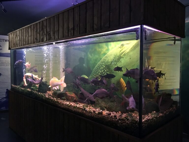 Interaktywne Muzeum Rybactwa