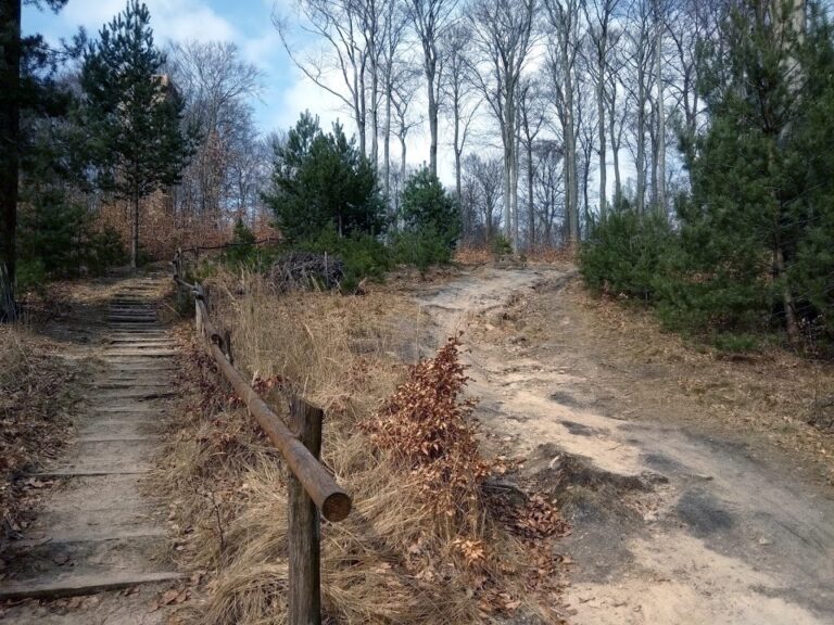 Wieża Widokowa „Wieża Promnitza”