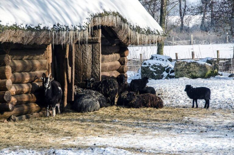 Muzeum Archeologiczne w Biskupinie