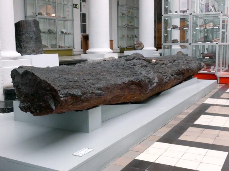 Muzeum Geologiczne w Warszawie