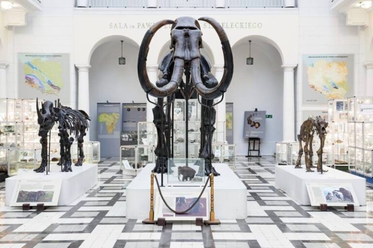 Muzeum Geologiczne w Warszawie