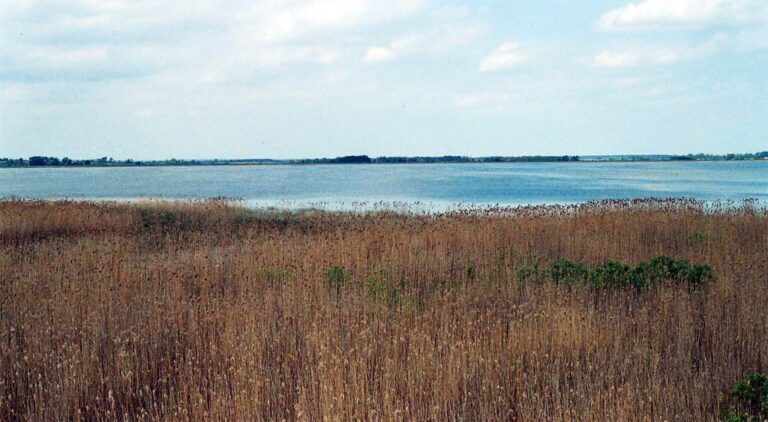 Rezerwat Biosfery – Jezioro Łuknajno