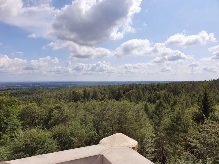 Wieża Widokowa „Wieża Promnitza”
